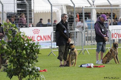 Remise des Prix 052.JPG - CHIENPLUS.COM